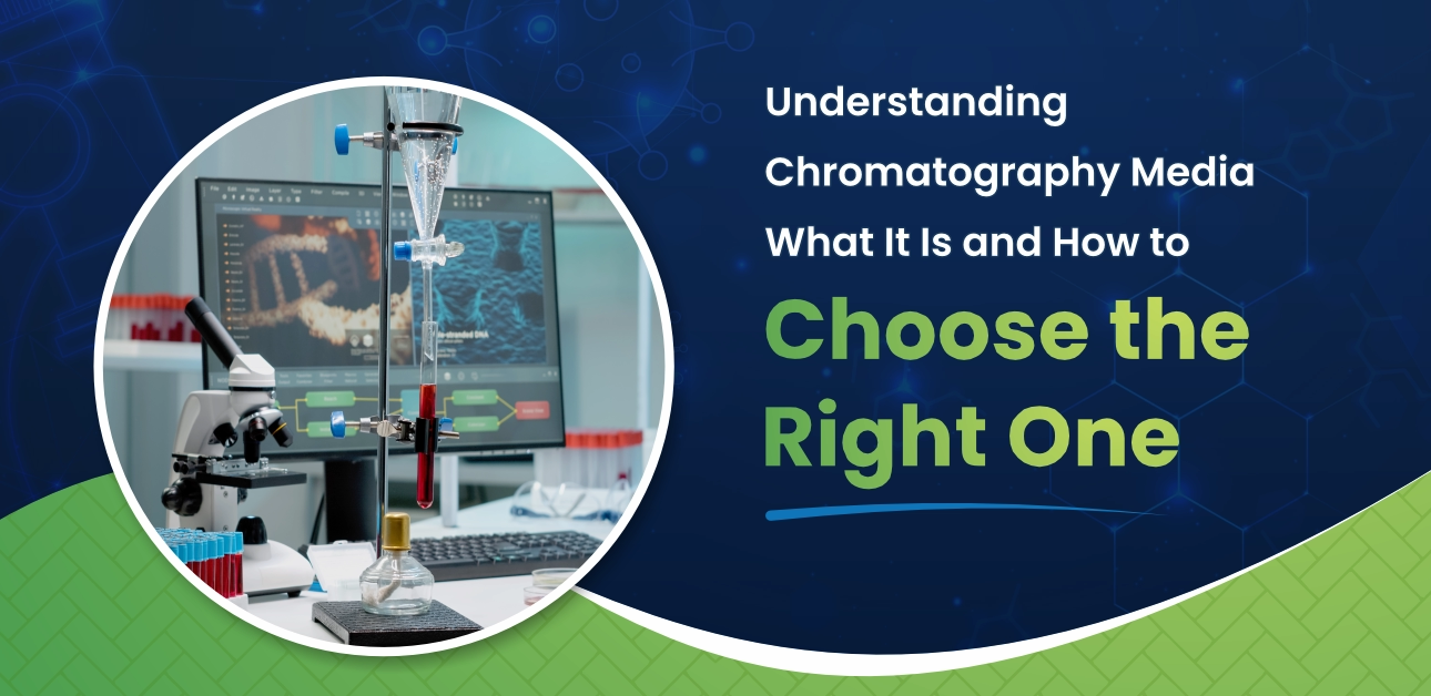  How To Choose The Right Chromatography Media